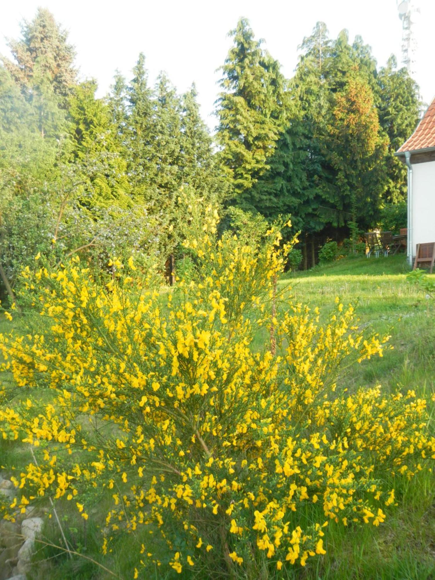 Ferienlandhaus Zempow 외부 사진