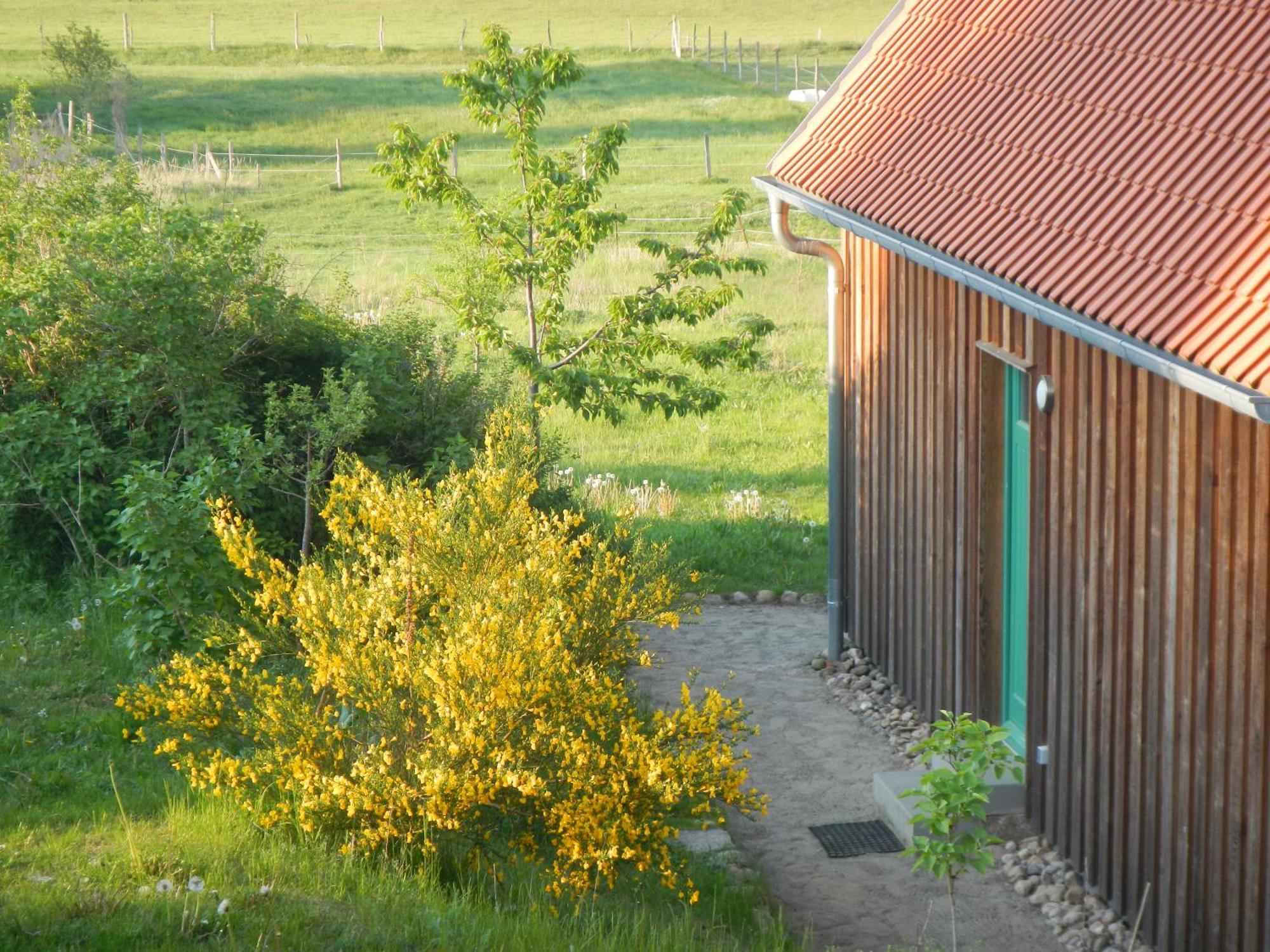 Ferienlandhaus Zempow 외부 사진
