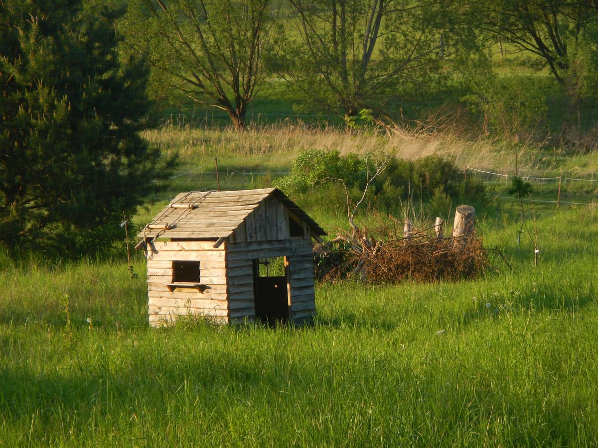 Ferienlandhaus Zempow 외부 사진